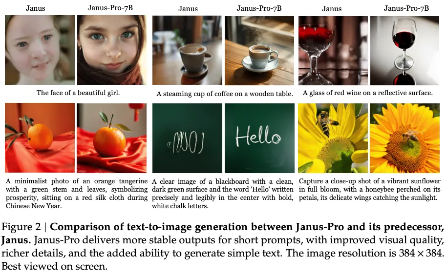 Janus-Pro模型.webp