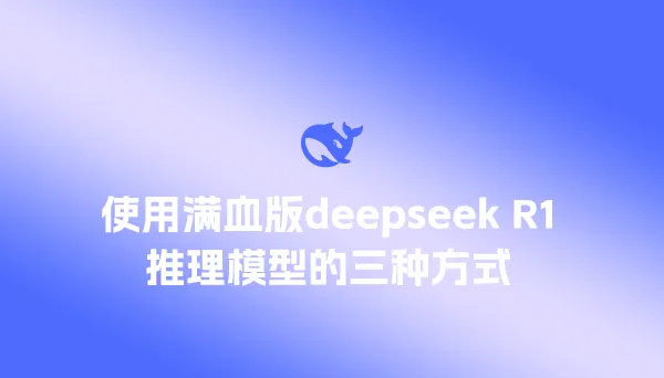 使用满血版deepseek R1推理模型的三种方式及三方服务整理